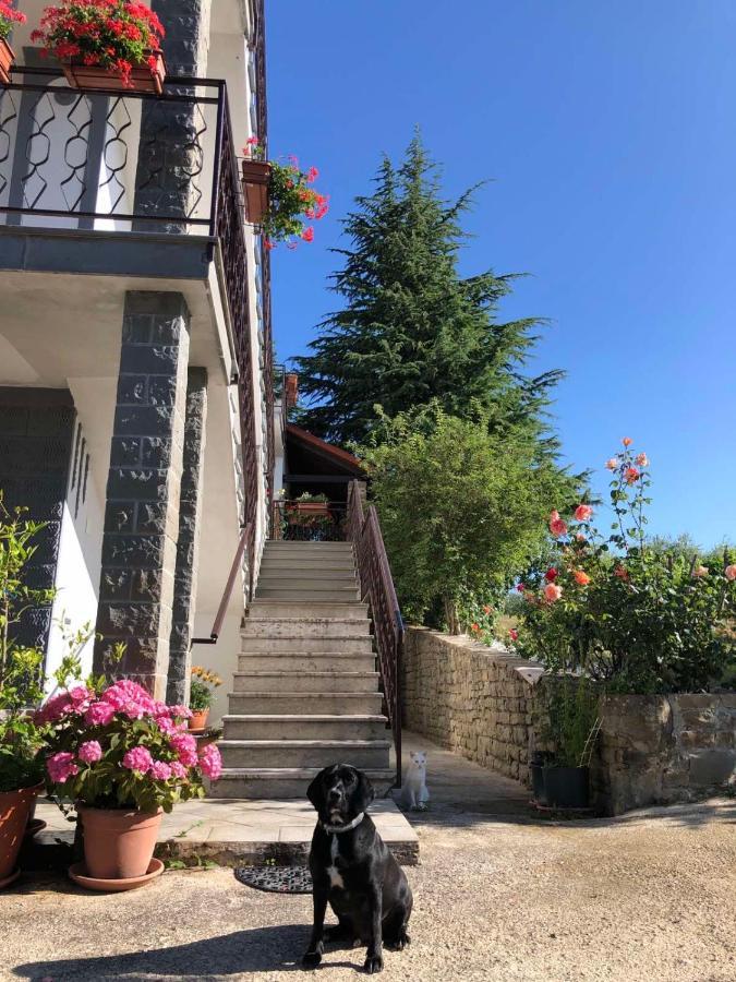 Apartman Villa Romana Groznjan Exterior photo